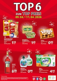 Toilettenpapier 3-Lagig Angebot & Preis im aktuellen Selgros Prospekt Toilettenpapier 3-Lagig Angebot im aktuellen Selgros Prospekt auf Seite 20