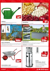 Aktueller Hagebaumarkt Prospekt mit Blumenzwiebeln, "SUPER DEALS", Seite 7