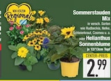 Sommerstauden Mix im EDEKA Prospekt Sommerstauden Mix von im aktuellen EDEKA Prospekt für 2,99 €