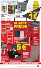 Bambus im Kaufland Prospekt in Rastatt Aktueller Kaufland Prospekt mit Bambus, "Hier bin ich richtig", Seite 55