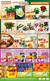 Croquettes Chien Angebote im Prospekt "Votre Discounter Régional" von Norma auf Seite 4