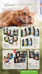 Raiffeisen Markt Neunkirchen Prospekt für Much: "Schnurr-Schnäppchen", 2 Seiten, 14.03.2026 - 21.03.2026