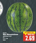 Mini-Wassermelonen im aktuellen E center Prospekt