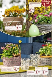 Aktueller Garten-Center Nordharz GmbH & Co. KG Prospekt mit Kerzen, "Frühling pflanzen. Ostern genießen.", Seite 2