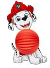 Laterne im Angebot bei Woolworth in Eschwege Laterne Angebote von Paw Patrol bei Woolworth Eschwege für 4,00 €