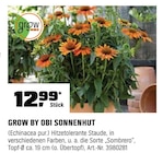 Sonnenhut im Angebot bei OBI in Ludwigsburg Sonnenhut Angebote von Grow by OBI bei OBI Ludwigsburg für 12,99 €