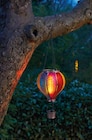 Heißluftballon-Regenbogen im aktuellen Pflanzen Kölle Prospekt für 14,99 €