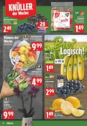 Obst im EDEKA Prospekt in Remscheid Aktueller EDEKA Prospekt mit Obst, "Aktuelle Angebote", Seite 8