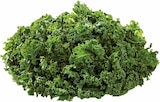 Frischer Grünkohl bei EDEKA im Lünen Prospekt für 2,49 €