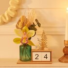 Orchidée 1 fleuron calendrier - CARREFOUR en promo chez Carrefour Versailles à 7,99 €