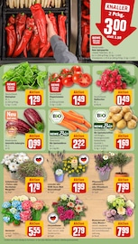 Pflanzen im REWE Prospekt in Rodgau Aktueller REWE Prospekt mit Pflanzen, "Dein Markt", Seite 11