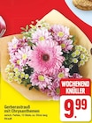 Gerberasstrauß mit Chrysanthemen im aktuellen E center Prospekt