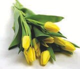 Bouquet de 9 tulipes de glace - U en promo chez Super U Troyes à 3,99 €