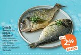 Dorade Rosmarin-Salbei-Melisse von  im aktuellen tegut Prospekt für 2,49 €