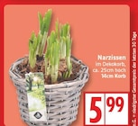 Narzissen im aktuellen EDEKA Prospekt