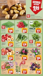 Blumen Angebot & Preis im aktuellen REWE Prospekt Blumen Angebot im aktuellen REWE Prospekt auf Seite 7