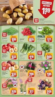 Orangen Angebot im REWE Prospekt, gültig von 03.08.2026 bis 08.08.2026 Orangen Angebot im aktuellen REWE Prospekt auf Seite 7