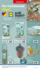 Aktueller Lidl Prospekt mit Gartenhaus, "LIDL LOHNT SICH", Seite 25