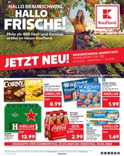 Aktueller Kaufland Supermarkt Prospekt in Erkerode und Umgebung, "Aktuelle Angebote" mit 48 Seiten, 25.04.2024 - 30.04.2024