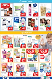 Haushaltsartikel im budni Prospekt in Stade Aktueller budni Prospekt mit Haushaltsartikel, "drogeriemarkt", Seite 3