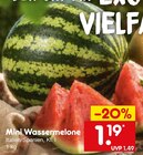 Melone im Netto Marken-Discount Prospekt Mini Wassermelone im aktuellen Netto Marken-Discount Prospekt für 1,19 €
