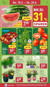 ALDI Nord Prospekt der aktuellen Woche, gültig von 15.06.2026 bis 20.06.2026 Aktueller ALDI Nord Prospekt "Aktuelle Angebote" mit 43 Seiten