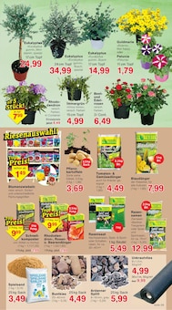 Spielsand im aktuellen Jawoll Prospekt (Bochum) Spielsand im Jawoll Prospekt "Sonderposten-Märkte" mit 16 Seiten (Bochum)