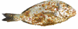 Aktuelle Fisch Angebote bei Netto Marken-Discount in Mainz Aktuelles Grill-Dorade-Royal Angebot bei Netto Marken-Discount in Mainz ab 1,39 €