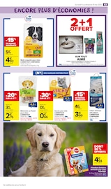Croquettes Chien Angebote im Prospekt "LE GOÛT ÇA SE FÊTE !" von Carrefour Market Croquettes Chien Angebote im Prospekt "LE GOÛT ÇA SE FÊTE !" von Carrefour Market auf Seite 45
