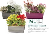 Promo Jardinière de Toussaint à 24,99 € dans le catalogue Botanic à L'Isle-d'Abeau