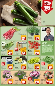 Blumen im REWE Prospekt "Dein Markt" mit 34 Seiten (Jena)