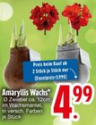 Amaryllis Wachs von  im aktuellen EDEKA Prospekt für 4,99 €