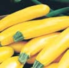 V-Markt Pentling Prospekt mit  im Angebot für 0,69 €