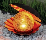 Solar-Dekolicht Muschel Angebote bei toom Baumarkt Marl für 9,99 €