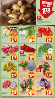 Tomaten im REWE Prospekt "Dein Markt" mit 24 Seiten (Kassel)