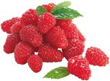 Bio Grapefruit Angebote von REWE Bio bei REWE Norderstedt für 0,69 €