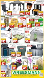 Aktueller Wreesmann Prospekt mit Orchidee, "DEIN SAISON- & SONDERPOSTENMARKT!", Seite 12