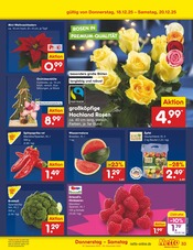 Paprika im Netto Marken-Discount Prospekt in Flensburg Aktueller Netto Marken-Discount Prospekt mit Paprika, "Aktuelle Angebote", Seite 47