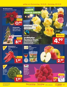 Pflanzen im aktuellen Netto Marken-Discount Prospekt (Braunschweig) Pflanzen im Netto Marken-Discount Prospekt "Aktuelle Angebote" mit 64 Seiten (Braunschweig)