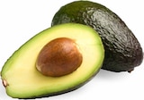 EDEKA Speyer - Avocados Angebot im Prospekt Avocados bei EDEKA im Speyer Prospekt für 1,29 €