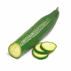 Gurke von GO BIO für 0,79 € bei Netto mit dem Scottie im Angebot Gurke von GO BIO im aktuellen Netto mit dem Scottie Prospekt