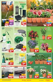 Ähnliche Stiefmütterchen Angebote im Prospekt "Aktuelle Angebote" von Netto Marken-Discount in Freiberg Ähnliche Angebote wie Stiefmütterchen im Prospekt "Aktuelle Angebote" auf Seite 15 von Netto Marken-Discount in Freiberg