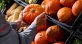 Hokkaido Kürbis im Angebot bei REWE in Nürnberg Hokkaido Kürbis Angebote bei REWE Nürnberg für 1,11 €