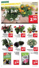 Aktueller Marktkauf Prospekt mit Blumen, "GANZ GROSS in kleinsten Preisen!", Seite 10