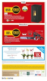 Offre Orchidée dans le catalogue Bricorama du moment à la page 8