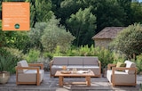 Salon Bas Cannes dans le catalogue Botanic