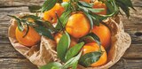 Promo Mandarine Feuille à 1,89 € dans le catalogue Intermarché Contact à Donzenac