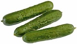 Aktuelles Italien Cherrystrauchtomaten Angebot bei EDEKA in Osnabrück ab 2,49 €