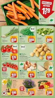 Farbe im REWE Prospekt "Dein Markt" mit 24 Seiten (Berlin)