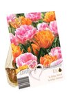 Blumenzwiebelmischung im Angebot bei Lidl in Hürth Blumenzwiebelmischung Angebote bei Lidl Hürth für 2,49 €